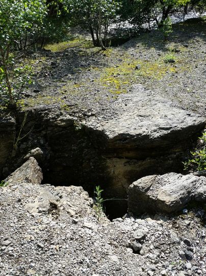 Ein zerklüfteter Boden mit sichtbarem Stein und feuchter Erde. Umgeben von einigen Pflanzen und Bäumen.