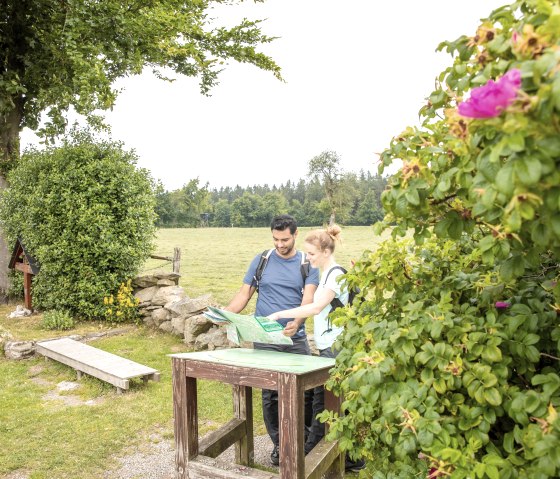 Vue sur l'Eifel Steling, © Eifel Tourismus GmbH, AR-shapefruit AG