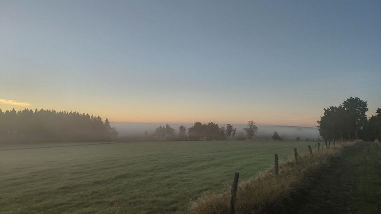 Eine ruhige Landschaft mit einem nebligen Feld und einem sanften Sonnenaufgang. Am Horizont sind Bäume sichtbar.