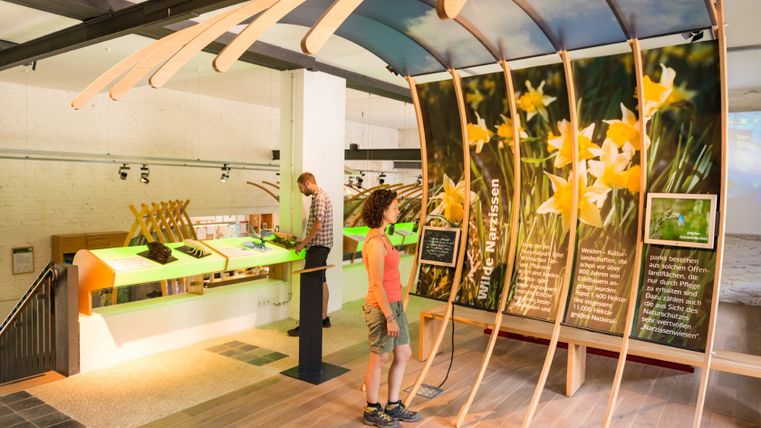 Ausstellung über wilde Narzissen im Nationalpark Eifel mit Informationstafeln und Besuchern.