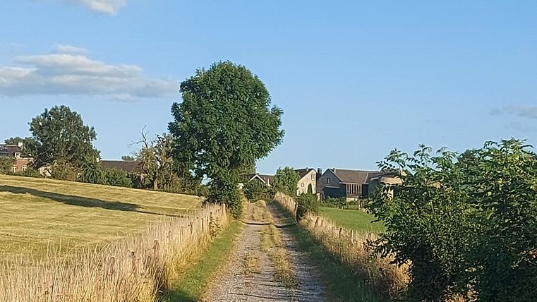 A quiet path winds through a rural landscape. In the background, there are some houses and a blue sky.