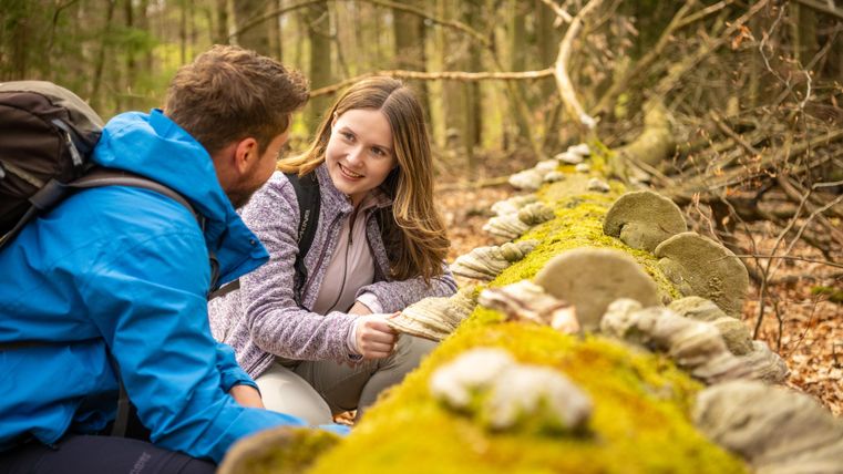 Un couple est assis sur un mur en pierre recouvert de mousse dans la forêt. Ils parlent ensemble et profitent de la nature.