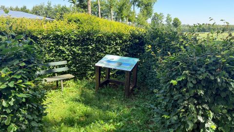 Een kleine, groene tuin met hoge hagen. Een bank en een tafel met informatiemateriaal staan op een zonnige plek.