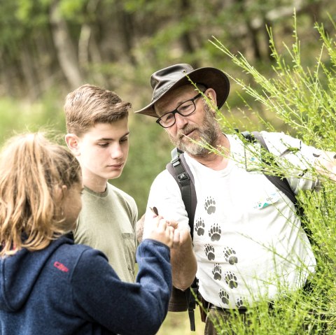 Familietour met bosgids