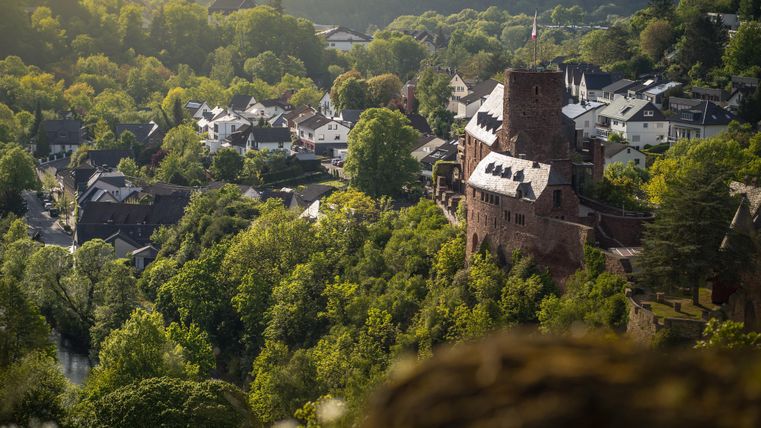 Eine malerische Landschaft mit einer mittelalterlichen Burg und umliegenden Häusern. Die grüne Natur und die sanften Hügel schaffen eine ruhige Atmosphäre.
