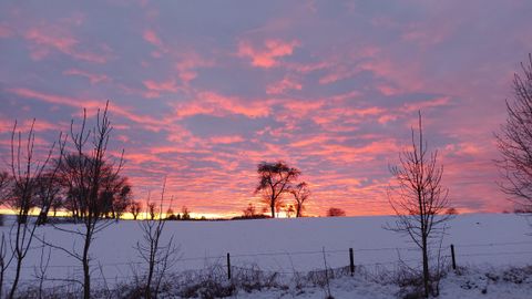 Ein malerischer Sonnenuntergang über einer schneebedeckten Landschaft. Silhouetten von Bäumen heben sich vor dem bunten Himmel ab.