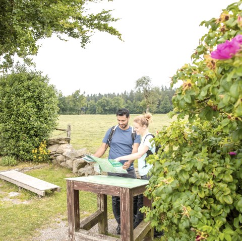 Vue sur l'Eifel Steling, © Eifel Tourismus GmbH, AR-shapefruit AG