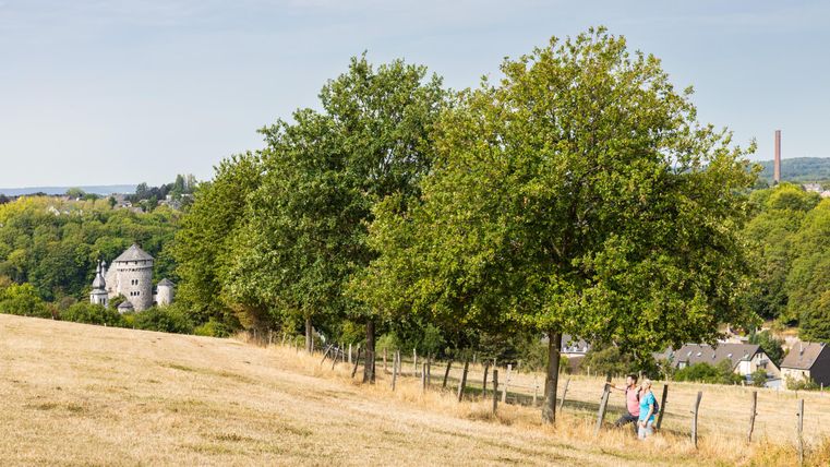 Een schilderachtig landschap met groene bomen en een zachte helling. Op de achtergrond is een historisch gebouw zichtbaar, terwijl wandelaars een pad volgen.