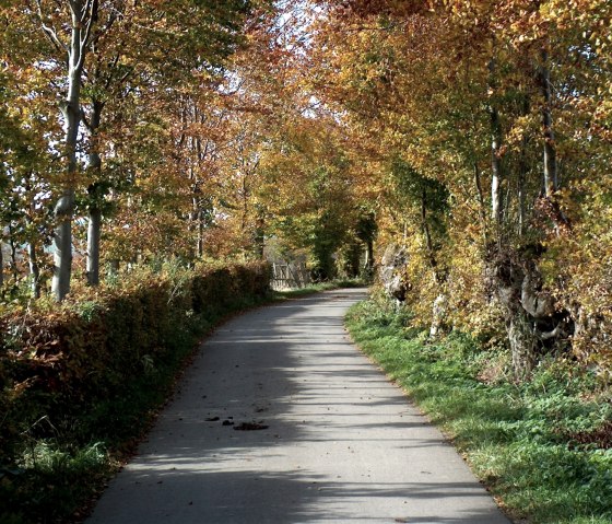 Circuit de randonnée "Heckenlandroute, © Monschauer Land