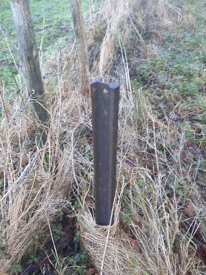 Ein rostiger Metallpfahl steht in hochwachsendem Gras. Im Hintergrund sind der Boden und weitere Pfähle sichtbar.