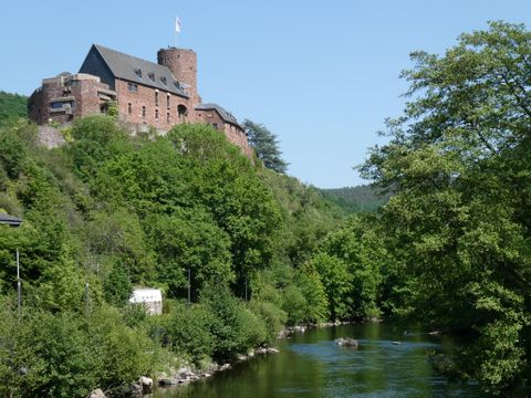 Eine alte Burg thront über einem Fluss, umgeben von üppigem Grün. Der Himmel ist klar und die Landschaft strahlt Ruhe aus.