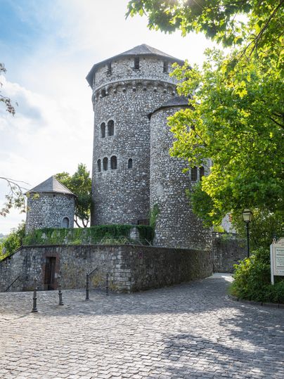 Eine alte Steinburg mit runden Türmen und einer von Bäumen umgebenen Umgebung. Der Himmel ist blau und sonnig.