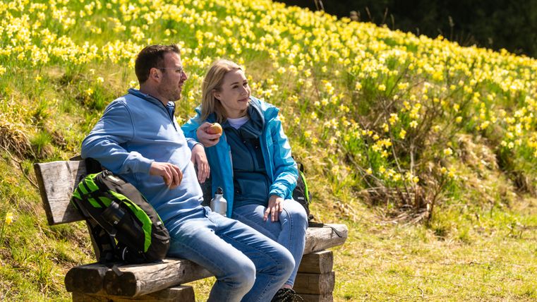 Zwei Personen sitzen auf einer Bank vor einem Feld voller gelber Narzissen.