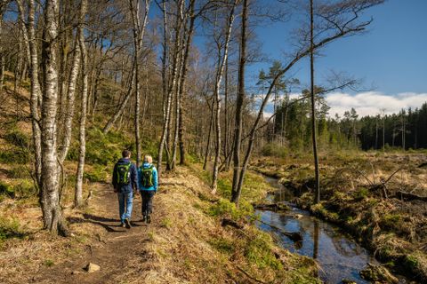 Zwei Wanderer spazieren entlang eines Waldweges. Neben dem Pfad fließt ein kleiner Bach und die Bäume sind teilweise kahl.